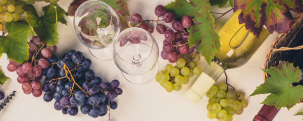 Meilleurs vins